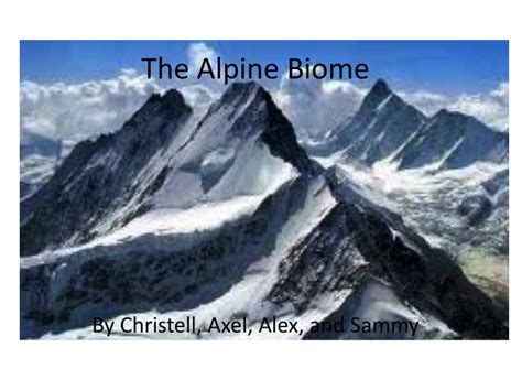 Ppt The Alpine Biome Powerpoint Presentation Free Download Id2270333