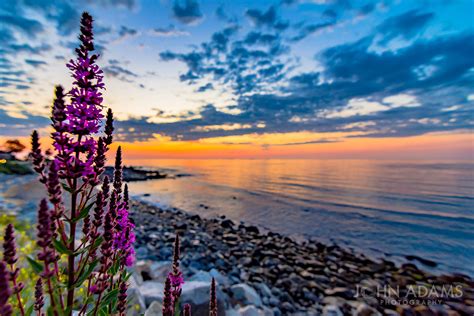 Flower Sunrise John Adams Photography