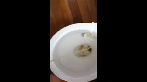 The Worlds Longest Piss By Sean Youtube