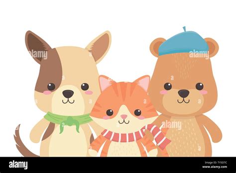 Cat Dog And Bear Cartoon Design Animal Cute Zoo Life Nature And Fauna
