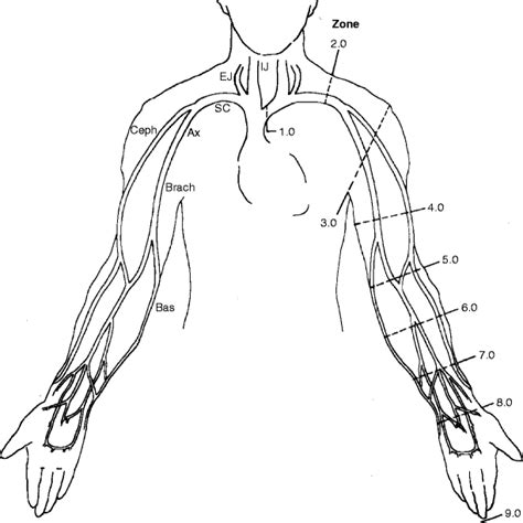 Ultrasound Upper Extremity Venous Anatomy