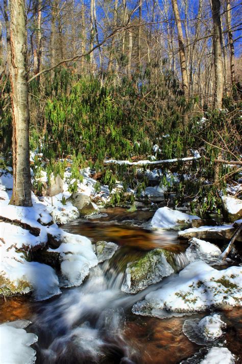 Free Images Tree Nature Rock Waterfall Creek Snow Winter River