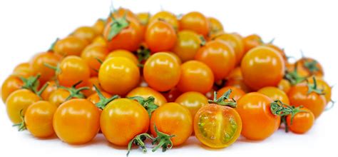 Orange Cherry Tomatoes Information Recipes And Facts Cherry Tomato