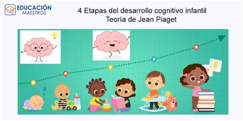 Las Cuatro Etapas Del Desarrollo Cognitivo Seg N Jean Piaget Son Las