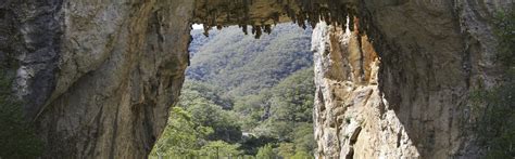 Things You Didnt Know About Lucas Cave In The Blue Mountains