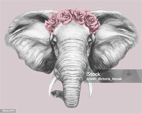 Ilustración De Retrato De Elefante Con Corona Floral En La Cabeza