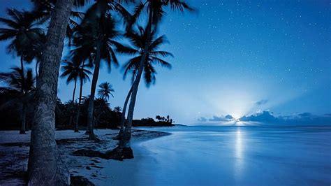 Hd Wallpaper Starry Night Coastline Seashore Blue Water Night Sky