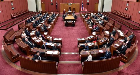 Democrats lost seats in the 2020 house elections but kept their majority. Senate - Parliament of Australia