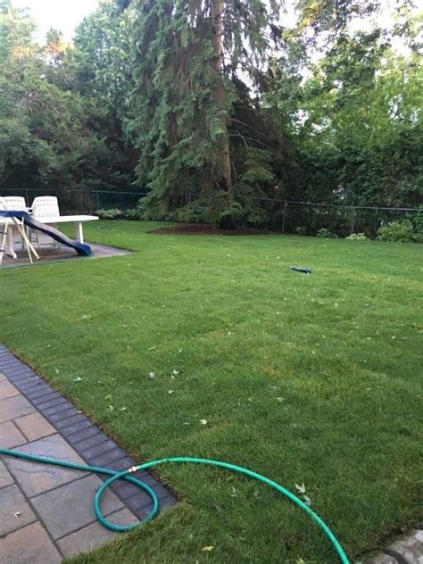 It's useful for top dressing your lawn, moving and leveling gravel, and works better than a landscaping rake when it c… How to Level a Bumpy Lawn - DIY LAWN EXPERT | Lawn problems, Diy lawn, Front yard landscaping design