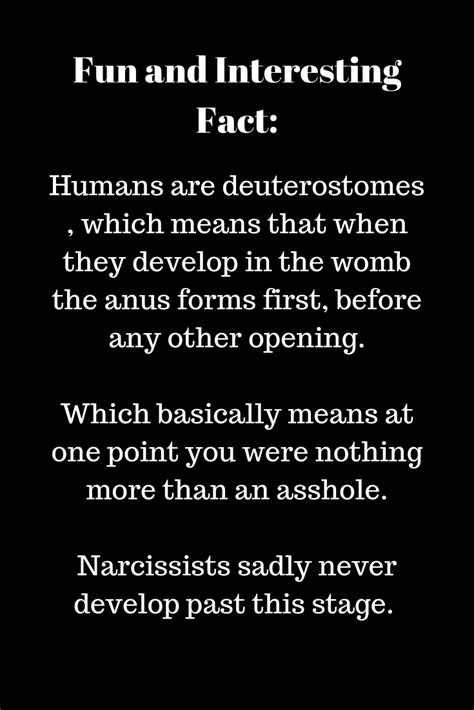 funny quote  narcissists funny meme quotes inspiring quotes tumblr narcissist memes