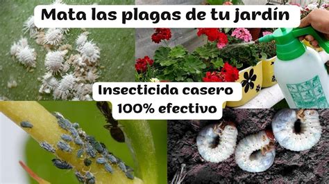 Mata Homemade Insecticide Woodlice