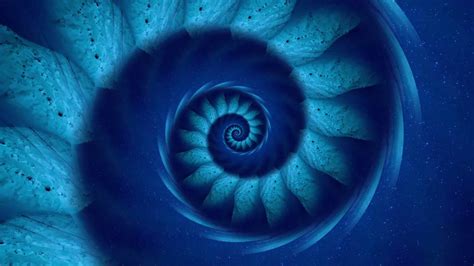 Fibonacci Spiral Art Wallpapers 67 Background Pictures
