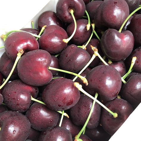 Suncrest Orchard Red Cherry 2kg Premium Box — Momobud