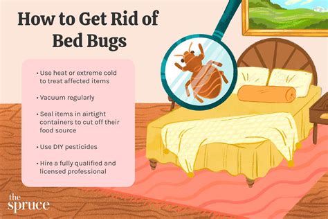 Bed Bugs How To Get Rid Of Them