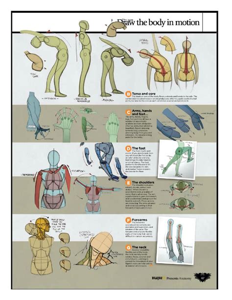 Imaginefx How To Draw And Paint Anatomy Vol 2 Anatomy Sketches Anatomy