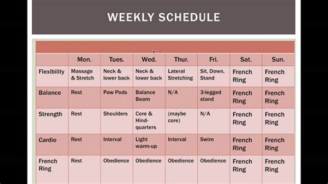 Weekly Workout Schedule Sample Eoua Blog