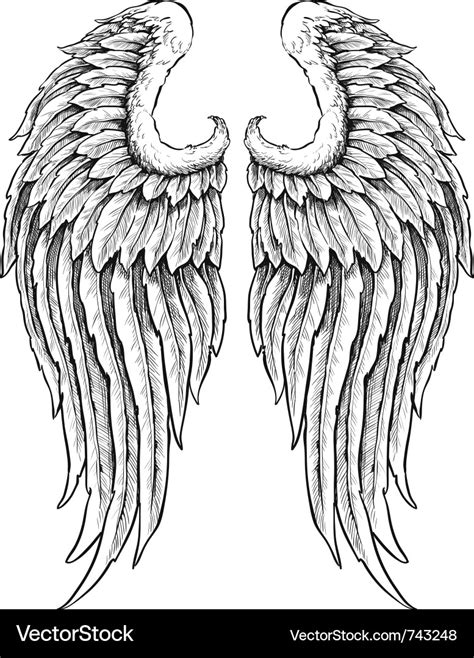 hand drawn angel wings royalty free vector image my xxx hot girl