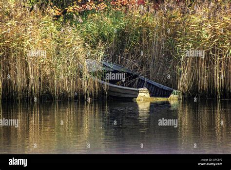 Rowing Boat In The Reeds Stock Photo Alamy