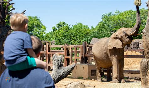 Zoo Knoxville Received Lots Of Love In 2021