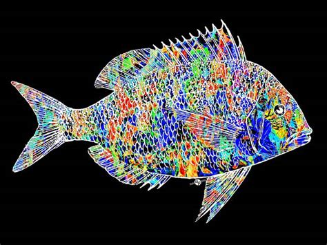 Pop Art Colorful Fish Artwork For Sale On Fine Art Prints