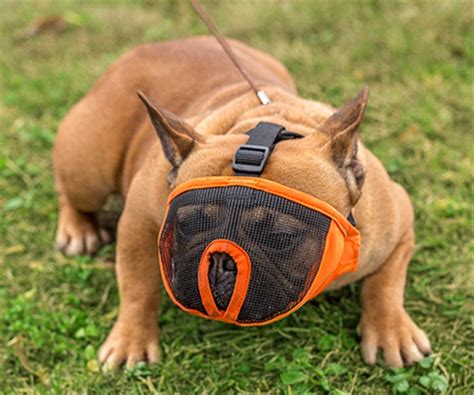 Cozy Puppies Short Snout Dog Muzzle Adjustable Breathable Mesh Bulldog