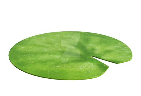 Lily Pad 1 Png Overlay By Lewis4721 On Deviantart