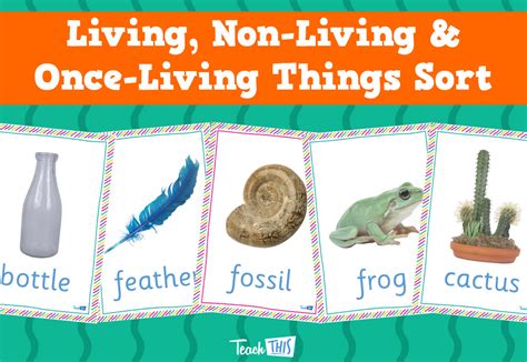 Living Non Living And Once Living Things Sort Science Units Science