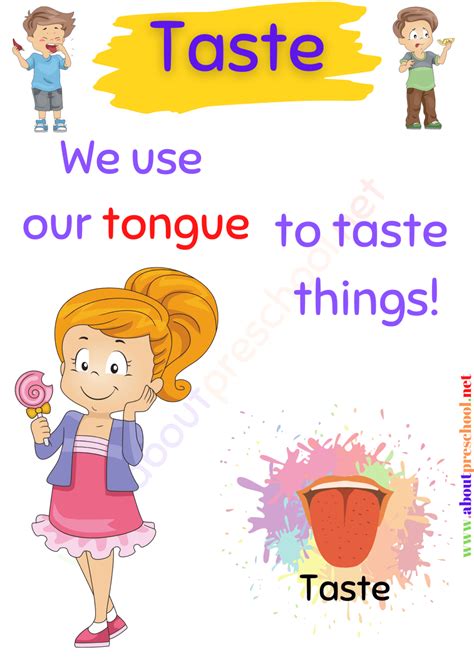 The 5 Senses Taste About Preschool