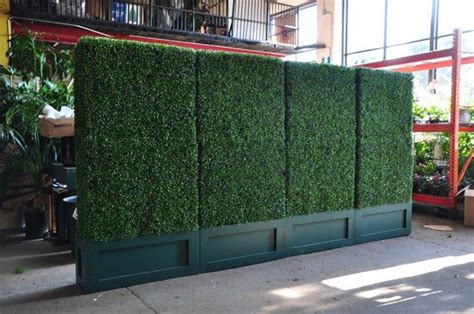 4 Boxwood Hedge Panels 6x3 Boxwood Hedge Wall Hedges Boxwood Hedge