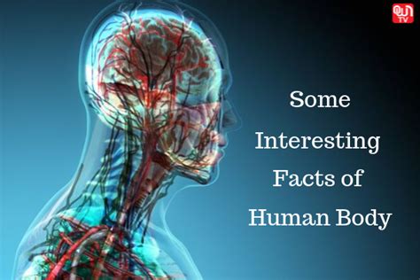 Interesting Facts On The Human Body Ssc Cgl Cpo Rrb Ntpc
