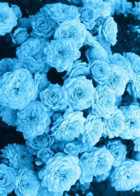 Aesthetics Blue Blue Flower Wallpaper Blue Aesthetic Pastel Blue