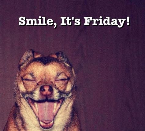Happy Friday Its Friday Quotes Friday Quotes Funny Happy Friday Quotes