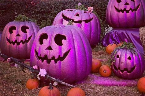 Heres Why People Put Out Purple Pumpkins On Halloween