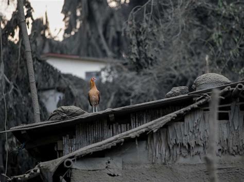 Doomsday Ash Covered Villages Reel Under The Weight Of Ashfall Spewed