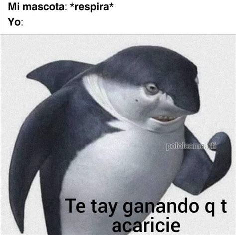 Pin de Dana Mercado en Guardado rápido Bromas para reir Memes Reír