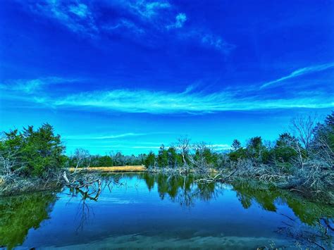 Land for Sale in Leon County, Texas between 5 and 60 Acres - 127