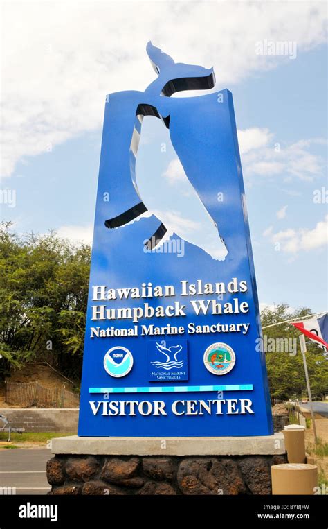 Hawaiian Islands Humpback Whale National Marine Sanctuary Kihei Hawaii