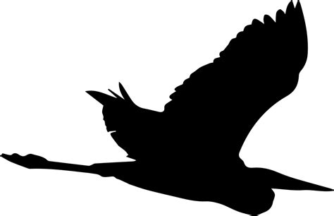 Crane Bird Great Blue Heron Silhouette Crane Png Download 981634