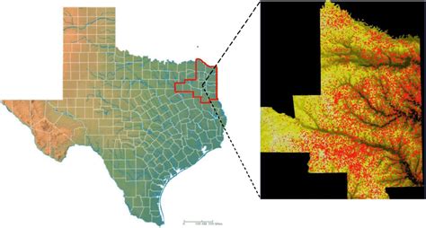 Location Of Texas District 12 Tx12 In East Texas 22 And Historical