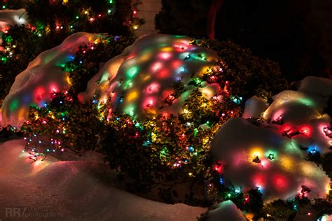 Theres Just Something About Snow Covered Christmas Lights Pics