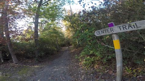 However, some throny vines will also climb using another method. Thorn Vines of South Jersey MTB riders warning. - YouTube