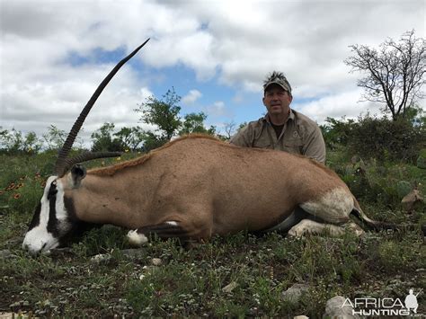 Texas Usa Hunt Gemsbokscimitar Oryx Cross