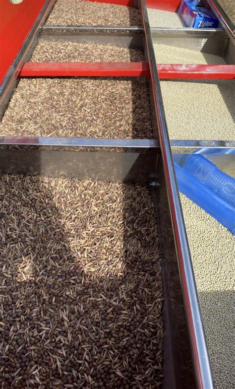 Tar River SAYA 505 no till