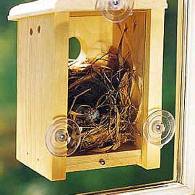 It should be noted that the box which fell was the only one that did not have overhead. Window Bird House - Window Nest Box | $125+ Orders Ship ...