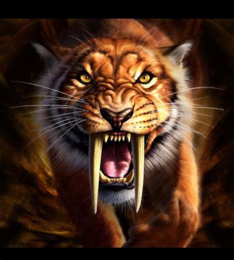 Choose your favorite saber tooth tiger designs and purchase them as wall art, home decor, phone cases, tote bags, and more! Sabretooth Tiger!!!! | Sabertooth tiger, Tiger face ...