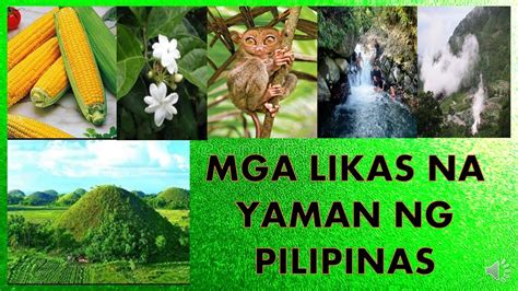 Likas Yaman Ng Pilipinas Image To U