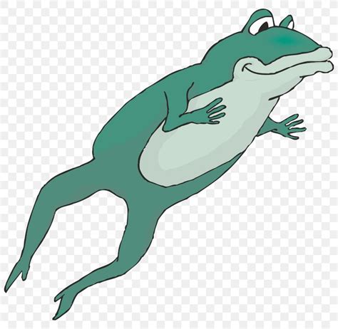 Frog Jumping Contest Frog Jumping Contest Clip Art Png 800x800px