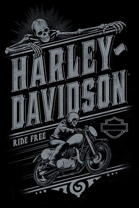 30 Idées De Harley Davidson Illustrations Harley Davidson Harley