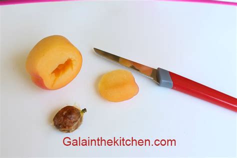 7 Cute Apricot And Peach Garnish Ideas Gala In The Kitchen