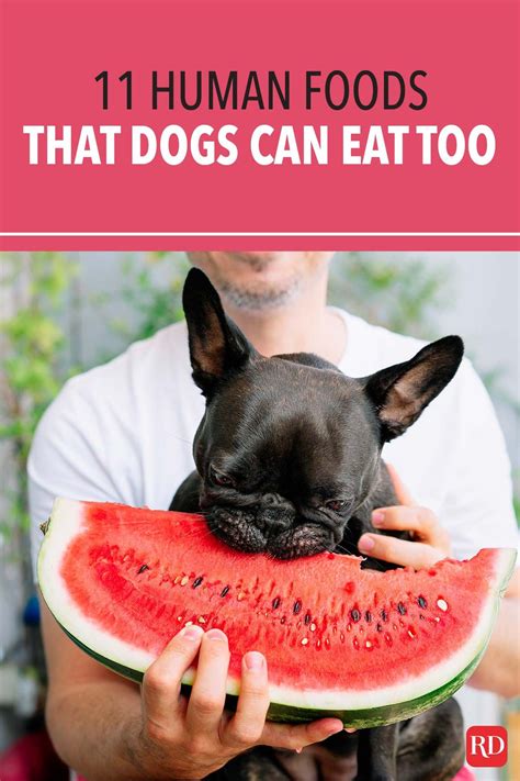 11 Human Foods That Dogs Can Eat Too In 2021 Human Food Foods Dogs
